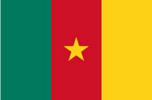 drapeau cameroun